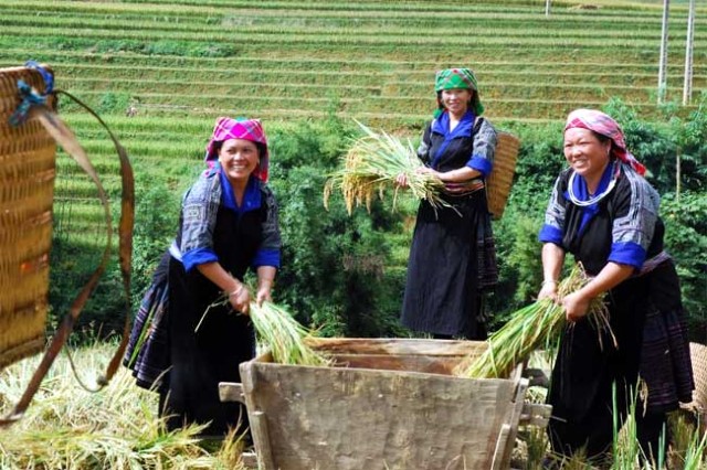 GÓC NHÌN ĐẠI BIỂU: KHƠI DẬY KHÁT VỌNG VƯƠN LÊN THOÁT NGHÈO CỦA NGƯỜI DÂN